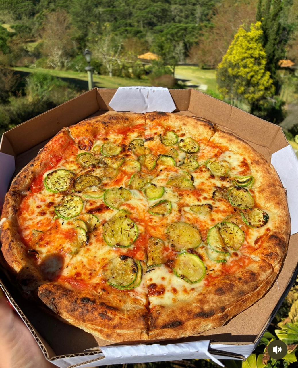 Pizza artesanal vegana ou vegetariana do Seva Retiros